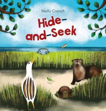 Hide-and-seek Book cover