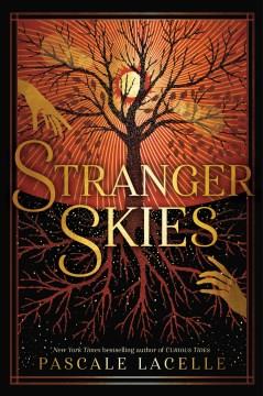 Stranger skies Book cover