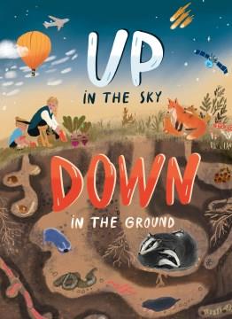 Up in the sky, down in the ground Book cover