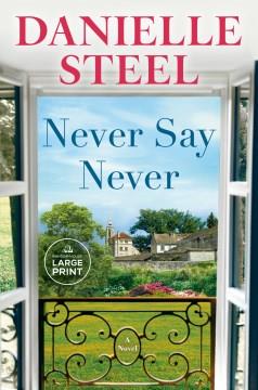 Never say never : a novel Book cover