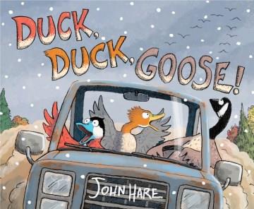 Duck, Duck, Goose! Book cover