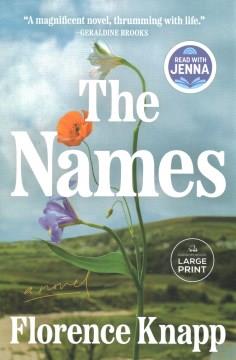 The names : a novel  Cover Image