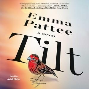 Tilt : a novel Book cover
