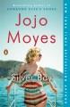 Go to record Silver Bay : a novel