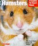 Go to record Hamsters : everything about purchase, care, nutrition, bre...