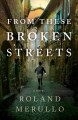 Go to record From these broken streets : a novel