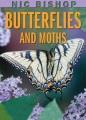 Go to record Butterflies and moths