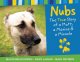 Go to record Nubs : the true story of a mutt, a marine & a miracle